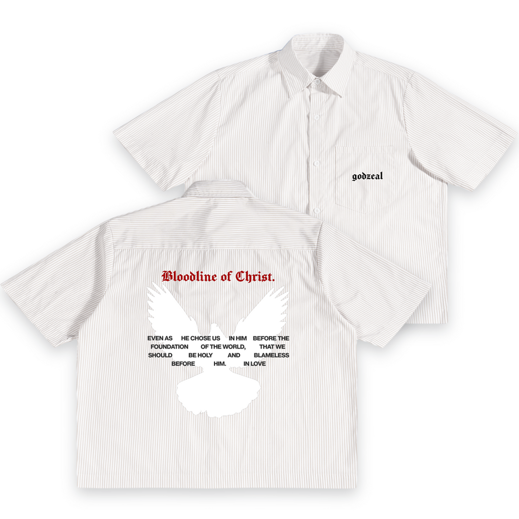 GODZEAL Vertical Stripe Boxy Shirt